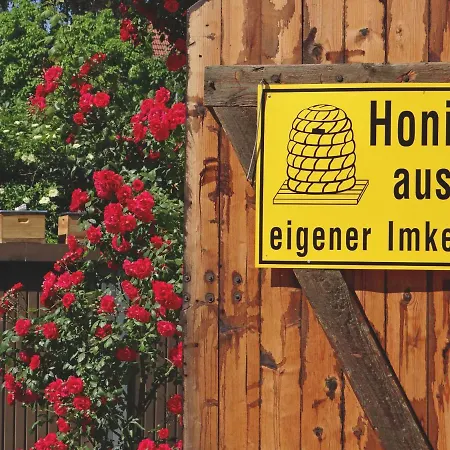 Apartment Altstadt *