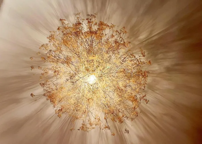 Apartment Altstadt *