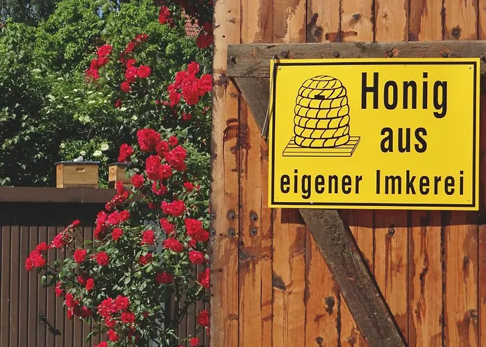 Lejlighed Altstadt *