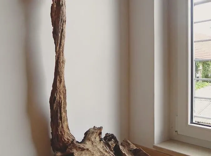 Apartment Altstadt *